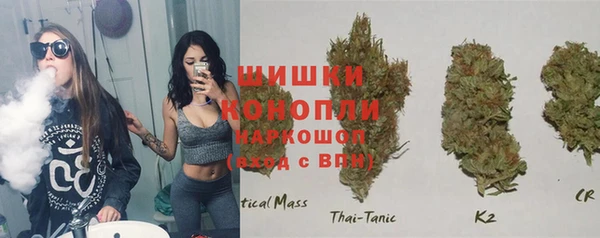 трава Арсеньев