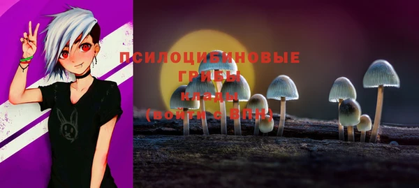 дживик Баксан