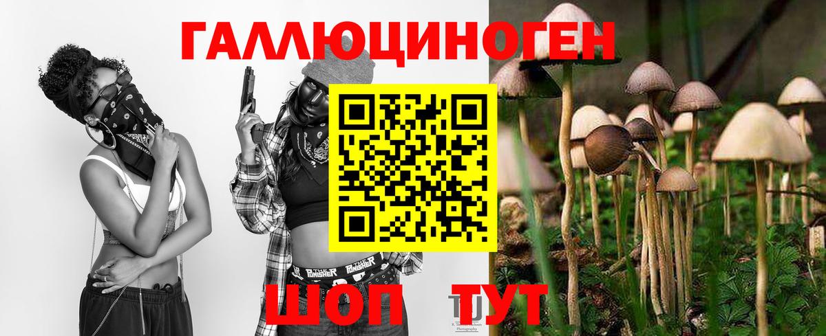 Воткинск  Псилоцибиновые грибы Psilocybe  Псилоцибиновые грибы прущие грибы  Вход с VPN 